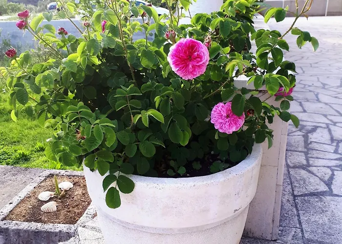 Lina - Two Bedroom With Terrace A1 *